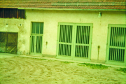 Die Jahre 1950 bis 1993